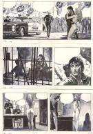 Milo Manara - Giuseppe Bergman, Revoir les &eacute;toiles, p29