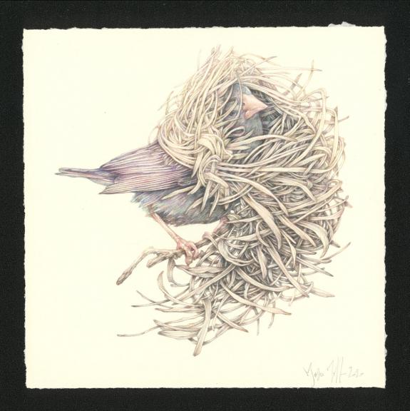 Marco Mazzoni - Journaux troublés, Illustration originale