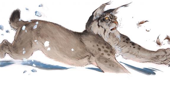 Frank Pé - Lynx
Illustration originale réalisée pour le cale