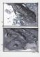Manchu - Trois recherches pour une couverture originale 