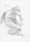 Manchu - Lot de neuf croquis de créatures : Kears, Hébé-ty, 