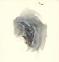 Paul Jeacock - Etudes monstres, illustration originale. Une 