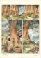 Guth&Cagniat - La Fontaine aux fables, Tome 2, Histoire comp