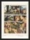 Viviane Nicaise - Loranne, California dream, Planche origina