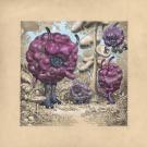 Stan Manoukian - Diary Of Inhuman Species, Illustration orig