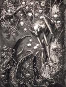 Stan Manoukian - Aranae Hominis, illustration originale