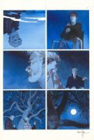 Emmanuel Lepage - Au pied des &eacute;toiles, Planche originale