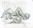 Laurent Cagniat - Pitchi Poï, Le petit écureuil, Illustratio