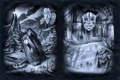 Florence Magnin - Mascarade, Planches originales