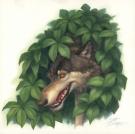 Scott Gustafson - Peinture originale The Wolf