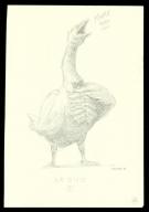 Armel Gaulme - Armel Gaulme Bestiary Sketchbook #1, Crayonné