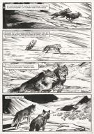 Jean-Marc Rochette - Le Loup, Planche originale n°40, 2019