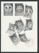 Marco Mazzoni - Illustration originale