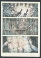 Marco Mazzoni - Illustration originale