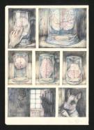 Marco Mazzoni - Journaux troublés, Planche originale