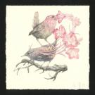 Marco Mazzoni - Journaux troublés, Illustration originale