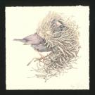 Marco Mazzoni - Journaux troublés, Illustration originale