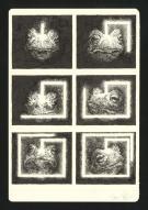 Marco Mazzoni - Journaux troublés, Planche originale