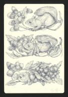 Marco Mazzoni - Journaux troublés, Illustration originale