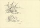 André Juillard - Illustration originale