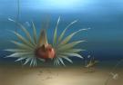 Eric Puybaret - Les Fabuleux Navires du Capitaine Squid, La 