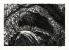 Tom Cuzor - Illustration originale,
La Harpie Solitaire
