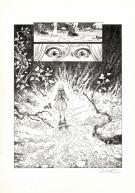 Joël Parnotte - Aristophania, La Montagne Rouge, Planche ori