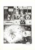 Joël Parnotte - Aristophania, La Montagne Rouge, Planche ori