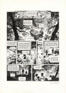 Joël Parnotte - Aristophania, Le Royaume d'Azur, Planche ori