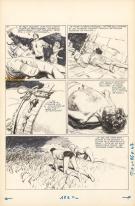Raymond Poivet - Les Pionniers de l'espérance, Planche origi