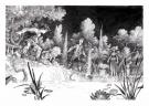 Joël Parnotte - Aristophania, Le Royaume d'Azur, Illustratio