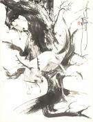 Saverio Tenuta - La Légende des Nuées écarlates, Illustratio