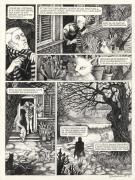Daria Schmitt - Le Bestiaire du crépuscule, Planche original