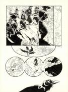 Thierry Robin - Pierre rouge, plume noire, Planche originale