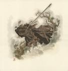 Thierry Robin - Illustration originale