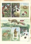 Benoit Du Peloux - Tracnar et Faribol , Stratus, Planche ori