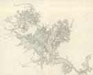 Julien Delval - Illustration originale, recherche pour Le Pe
