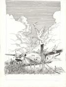 Michel CHEVEREAU - Bon Voyage ?, Planche originale n°9 ( cha