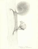 Carter Goodrich - Casting Call, Illustration originale, Squi