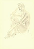 Andr&eacute; Juillard - Le Cahier bleu, Illustration originale