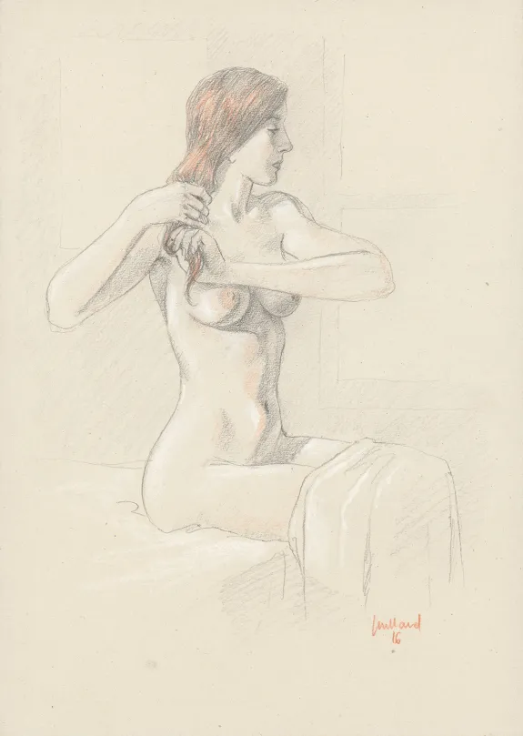 Illustration couleur, André Juillard