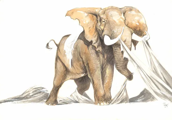 Illustration couleur, Frank Pé
