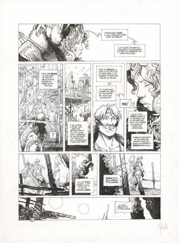 Planche noir et blanc, La Quête de l'Oiseau du Temps, Le Chevalier Bragon (T.4), Vincent Mallié
