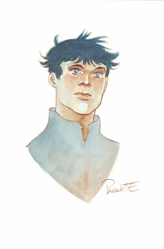 Colored illustration, Cauchon... Ou l'homme qui tua Jeanne d'Arc, Joël Parnotte