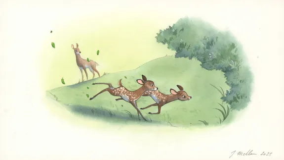 Illustration couleur, Les merveilleuses histoires de Grand Père dans la forêt, Julie Mellan
