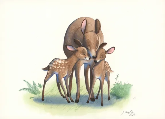 Illustration couleur, Les merveilleuses histoires de Grand Père dans la forêt, Julie Mellan