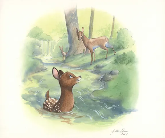 Illustration couleur, Les merveilleuses histoires de Grand Père dans la forêt, Julie Mellan