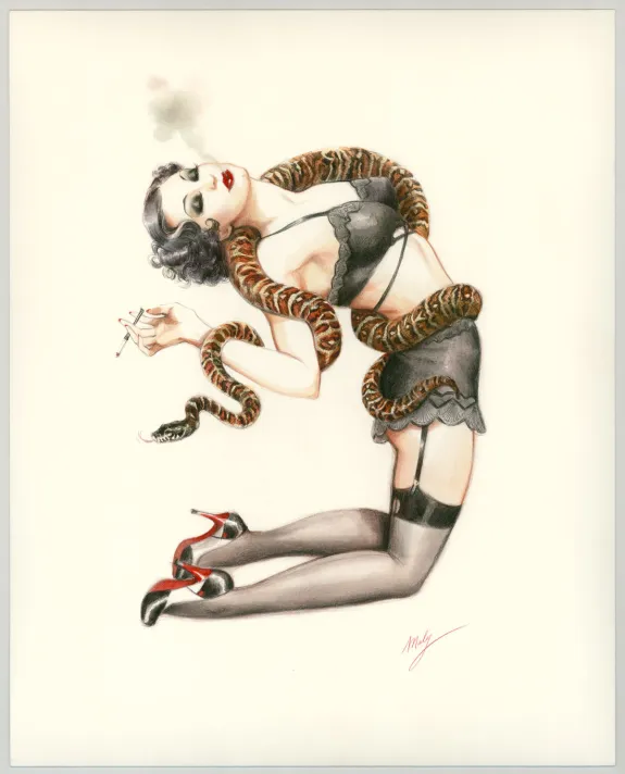 Colored illustration, Pin-up Art, Maly Siri