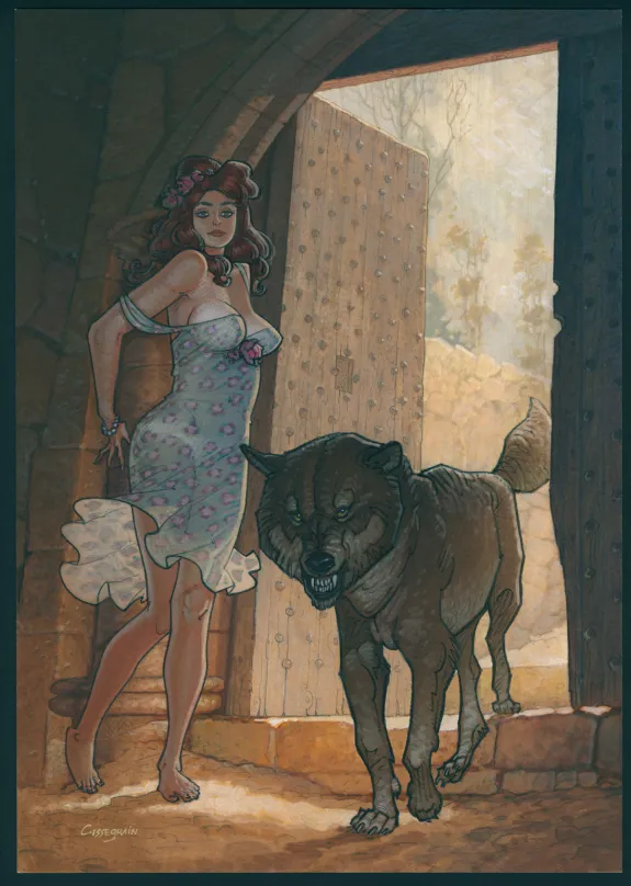 Colored illustration, Didier Cassegrain