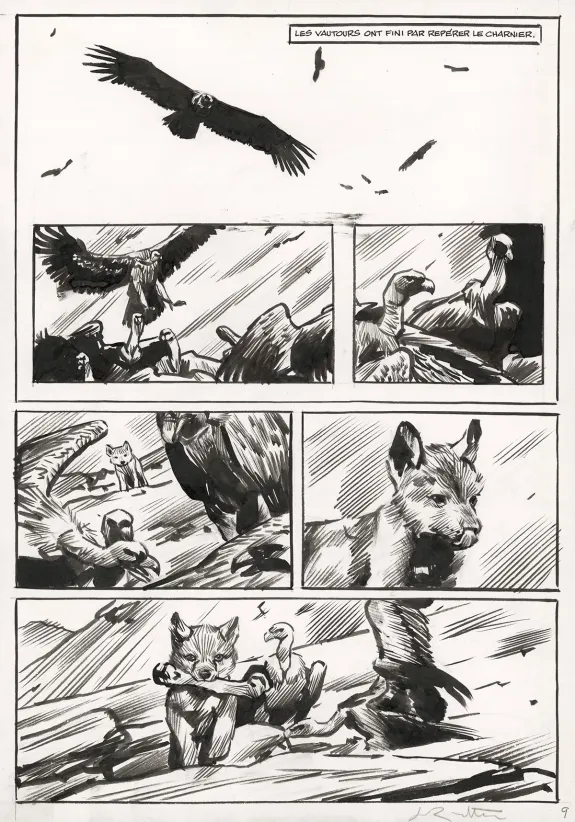 Planche noir et blanc, Le Loup, Jean-Marc Rochette